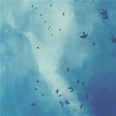 金年会app下载官网官方入口