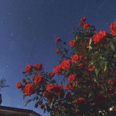 百姓彩票下载手机版