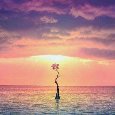 华体会登录(官方)APP下载app下载