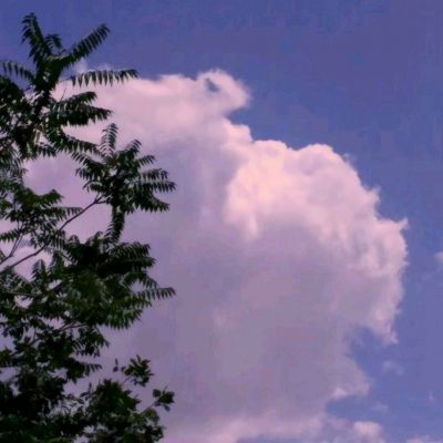 bd体育app官方下载