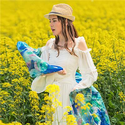 香港2023正版免费资料截图