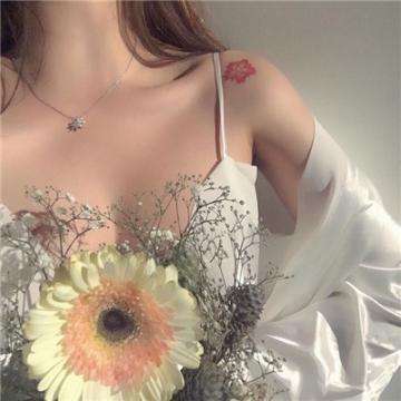 安博体育的最新版本